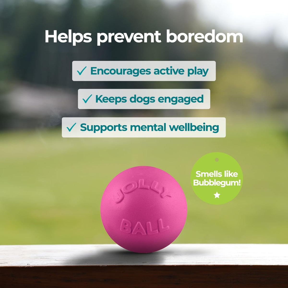 Jolly Pets Bounce-n-Play Dog Toy Ball - Pink / Large (8 in) - image 2