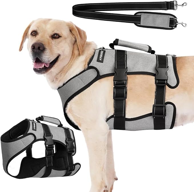 Ayquez Dog Lift Harness with Storage and Transport Bag, Dog Harness with Handle for Lifting & Hip dysplasia, arnés para Perros pequeños, pechera para Perros (Gray, XXL)