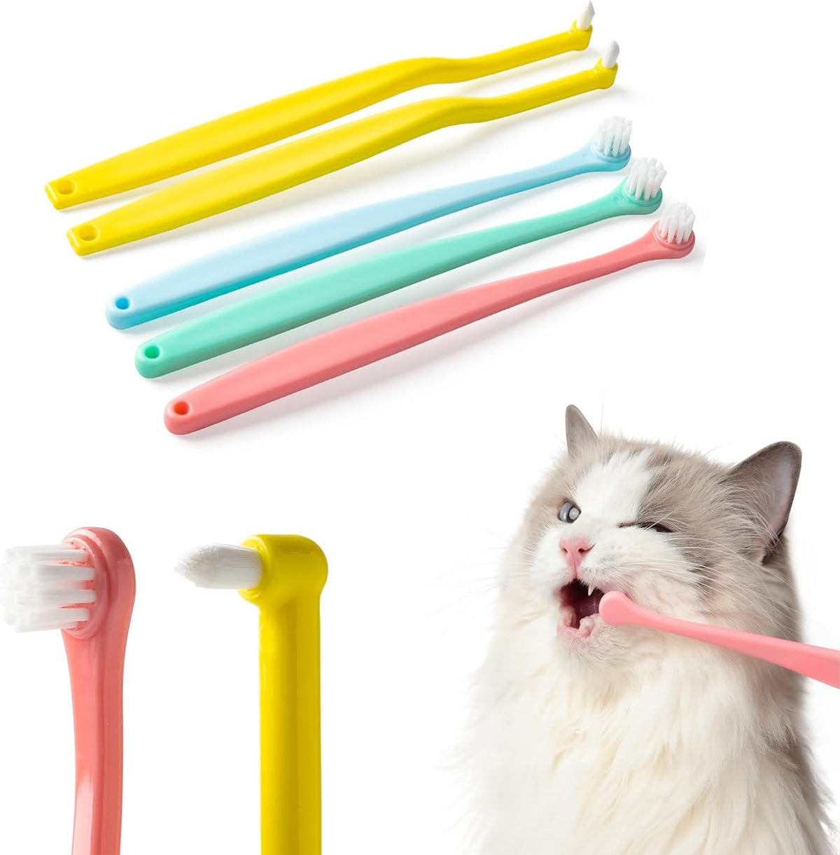 E.M&S.T micro head pet toothbrush set with 3 round and 2 pointed brushes