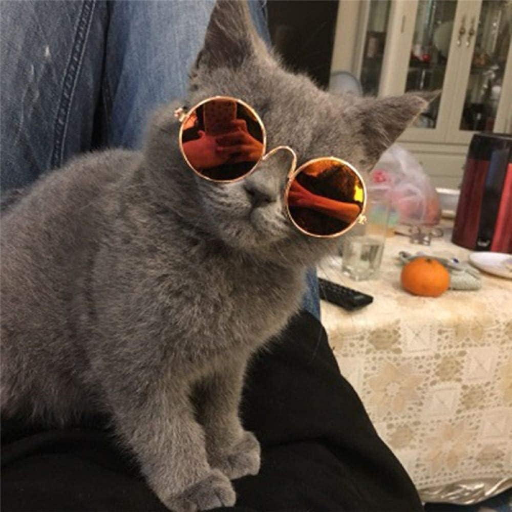 2pcs Random Color Small Cat Kitten Glasses Pet Glasses Dog Sunglasses - image 4