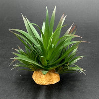 Smoothedo-Pets Reptile Artificial Plants Succulent Terrarium Decorative Desert Rainforest Plant Lizard Beard Chameleon Gecko Snake Amphibious Sea Turtle Tank Accessory (Agave-Set)