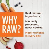 Instinct Raw Boost Shakers, Freeze-Dried Dog Food Powder Topper - Chicken, 5.5 oz. Bottle