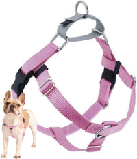 2 Hounds Design Freedom No Pull Dog Harness - Rose / 5/8" MD (Chest 24" - 28")