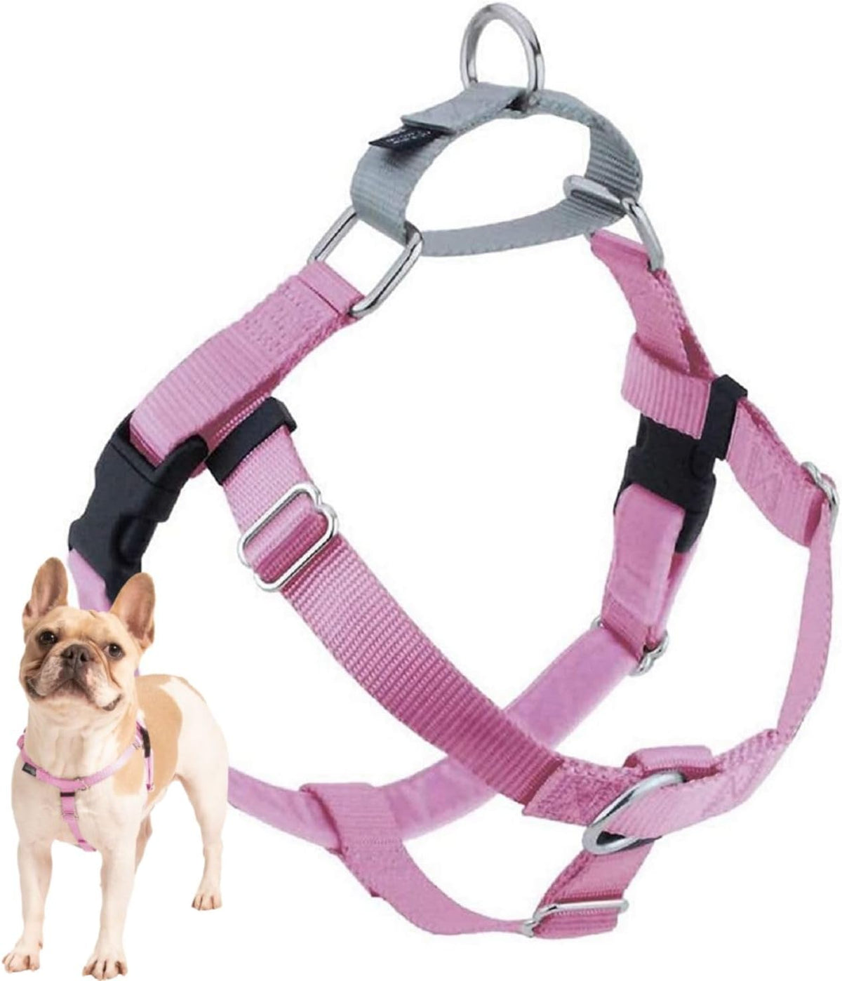 2 Hounds Design Freedom No Pull Dog Harness - Rose / 5/8" MD (Chest 24" - 28")
