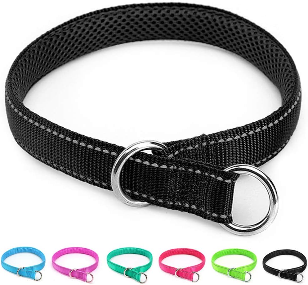 Reflective Slip Dog Collar Lightweight Loop Dog Collar 44-75lb Dogs – Essentials for Dogs - Black / M: 1"W x 22"L (neck size: 15.7"-19.7")