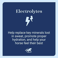 SmartLytes Horse Electrolyte Powder Supplement | Encourages Hydration, Replenishes Electrolytes | No Added Sugar | Cherry Flavor | 56 Servings | 3.5 lb Bucket