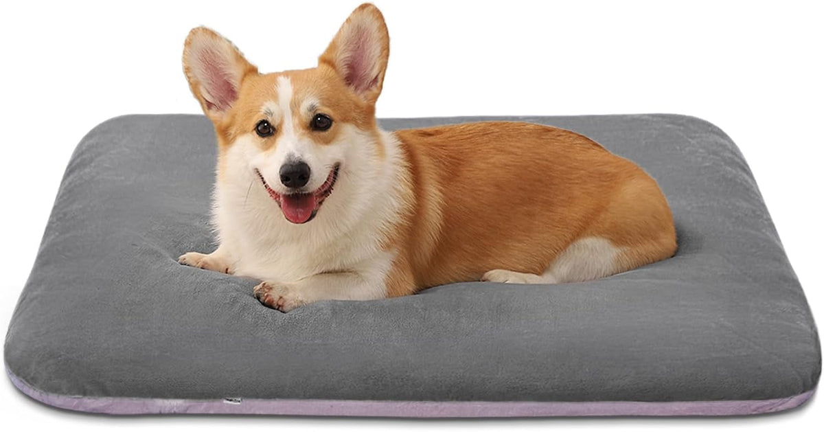 Magic Dog Orthopedic Extra Large Dog Bed 47 Inch - 32.0"L x 24.0"W x 3.0"Th / Grey