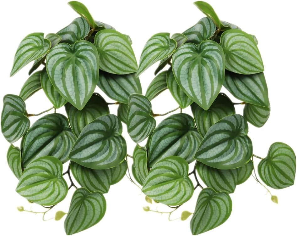 2Pack Reptile Plants for Terrarium - I-fake Calathea Orbifolia