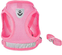 FEimaX Dog Harness and Leash Set for Walking - Pink / Small - image 2