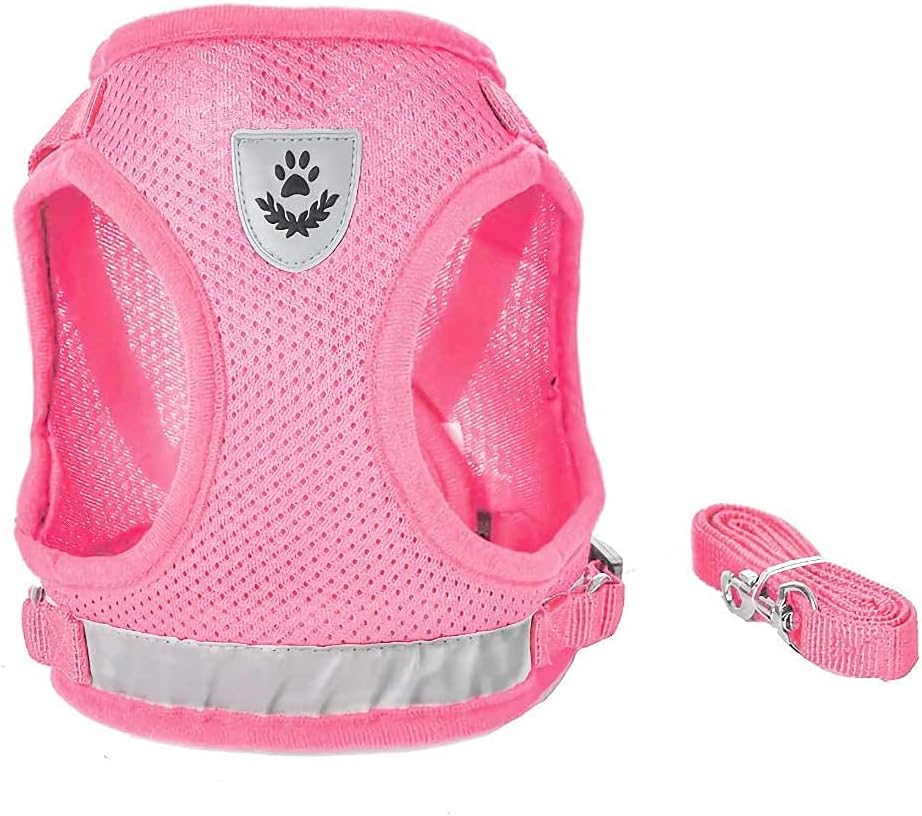 FEimaX Dog Harness and Leash Set for Walking - Pink / Small - image 2