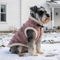 Retro Aviator Dog Jacket – Faux Leather Winter Coat with Plush Sherpa Fleece Lining for Bulldog - Pink / X-Large - image 4