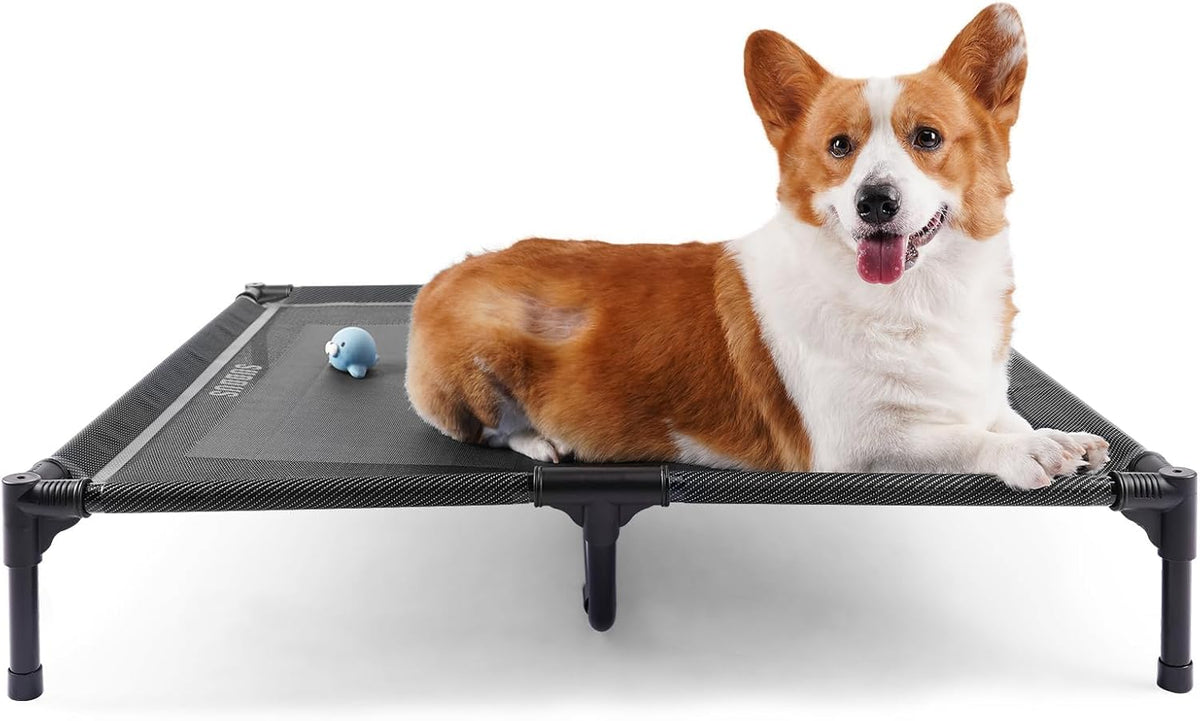 Elevated Dog Bed for Large Dogs 120lb - L (36"L x 30"W x 7"H) / Grey
