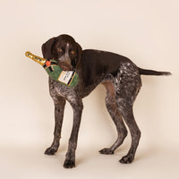 CHEWFFON Dog Toy, Interactive Champagne Shape Squeaky Toy for Boredom – Essentials for Dogs - Green Champagne Bottle - image 4
