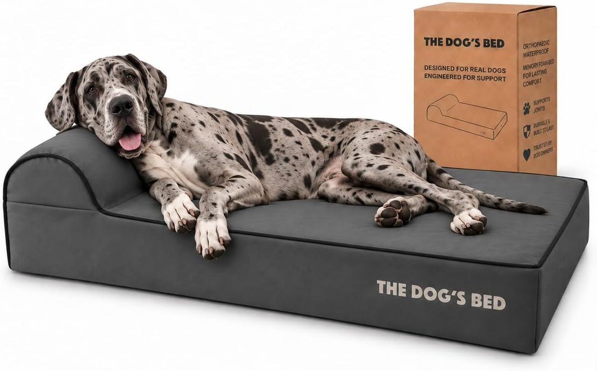 The Dog’s Bed Orthopedic Memory Foam Dog Bed with Headrest XL 6-Inch – Essentials for Dogs - Grey with Black Trim / XXL (54"L x 36"W x 6"Th)
