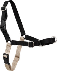 PetSafe Easy Walk Harness, No Pull Dog Harness, Royal Blue - Black/Silver / X-Large / 1