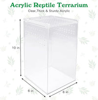 Reptile Terrarium Enclosure 6"x6"x10" Tall Acrylic Tarantula Breeding Box Magnetic Hermit Crab Habitat Vertical Tank Transparent Jumping Spider Cage for Insect Mantis Scorpion Sling Isopods