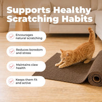 Catify Spin n' Scratch Cat Scratch Pad Refill, Round - Brown Mat - L: 39" - image 3