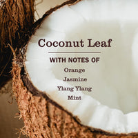 MRS. MEYER'S CLEAN DAY Pet Odor Neutralizer, Coconut Leaf Scent - Coconut Leaf / 12 Fl Oz (Pack of 1) - image 3