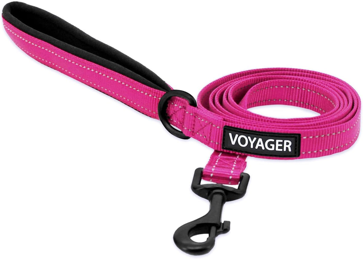 Best Pet Supplies Voyager Nylon Dog Leash - Fuchsia / Medium (3/4" x 5ft)
