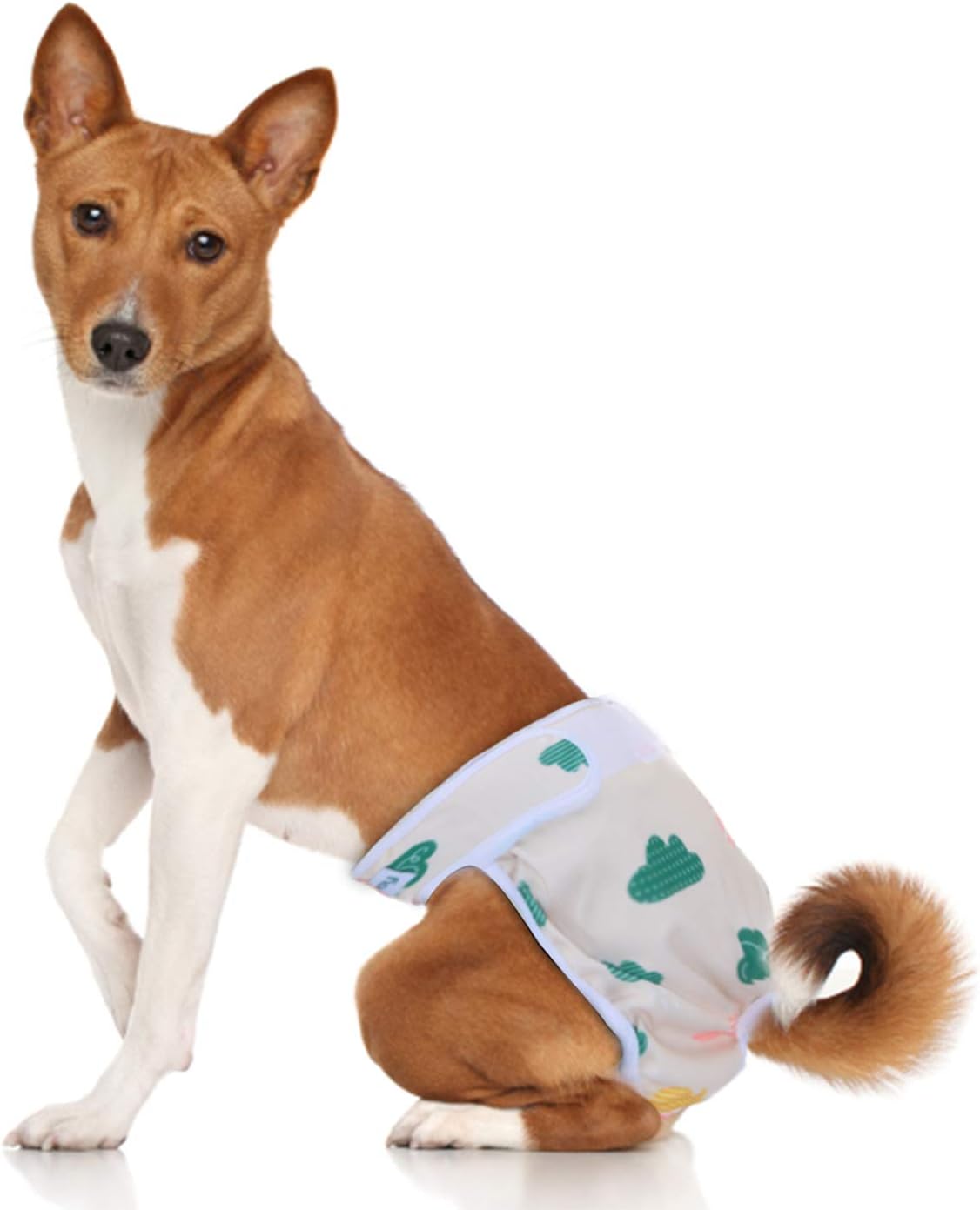 Teamoy Female Dog Diapers, Washable Doggie Period Diaper - L2 (Pack of 4) / Flamingo+ Cloud+ Green+ Pink (4pcs) - image 4