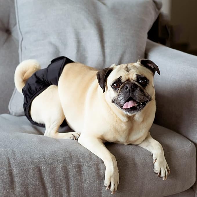 Pet Parents® Washable Dog Diapers (3pack) + Extendrs® of Durable Doggie Diapers, Premium Dog Diapers Female & Male (X-Large, Black)