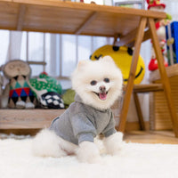 Dog Hoodie for Large Medium Small Dogs - Grey / X-Small - image 3