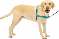 PetSafe Easy Walk Harness, No Pull Dog Harness, Royal Blue - Teal/Gray / Large / 1 - image 2