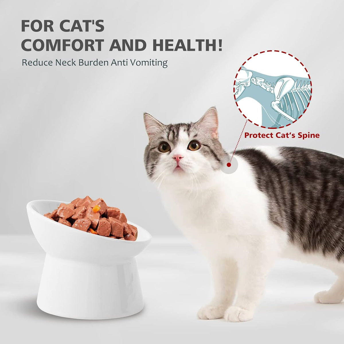 Elevated Cat Bowls, 15° Tilted Ceramic Cat Food Bowl - White / Large - image 3