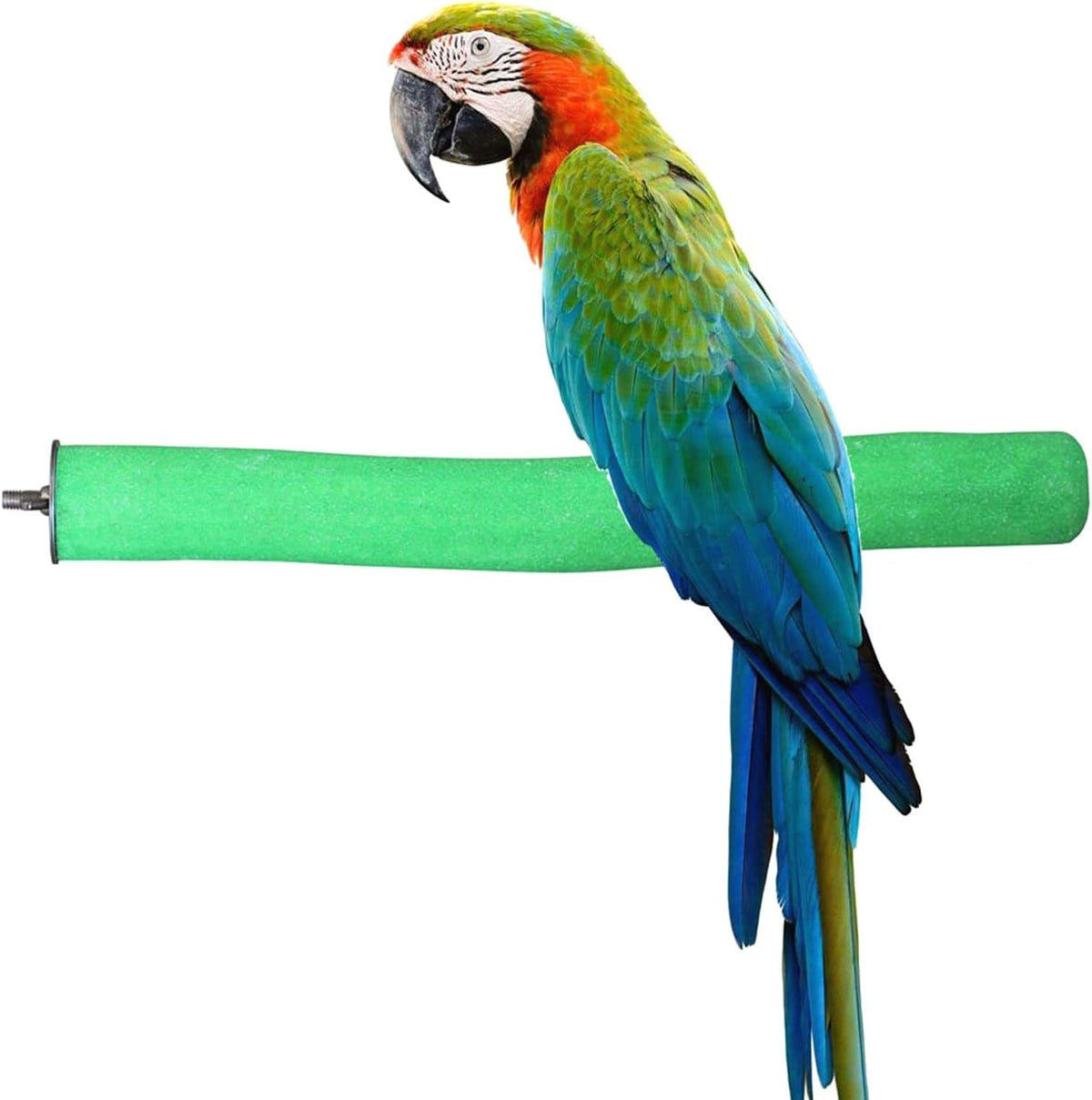 Bird Perch Rough-surfaced Nature Wood Stand Toy Branch for Parrots – Essentials for Birds - Straight Perch / L