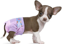 Disposable female dog diapers, size XXS, 40 pieces, absorbent leak barrier