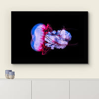 wall26 Canvas Print Wall Art Vibrant Purple Pink Jellyish Dark Ocean Nature Animals Photography Realism Rustic Scenic Landscape Wilderness Earth Colorful for Living Room, Bedroom, Office - 32"x48"