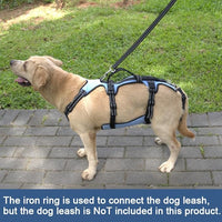 Coodeo Dog Lift Harness, Full Body Support & Recovery Sling, Pet Rehabilitation Lifts Vest for Old Dog with Arthritis Walk(Bule,L)