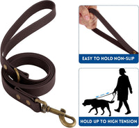 Wisedog Rubber Dog Collar with Quick Release, XS 8.5"-12" - Brown / XS(Collar:8.5"-12";Leash:4 ft) - image 3