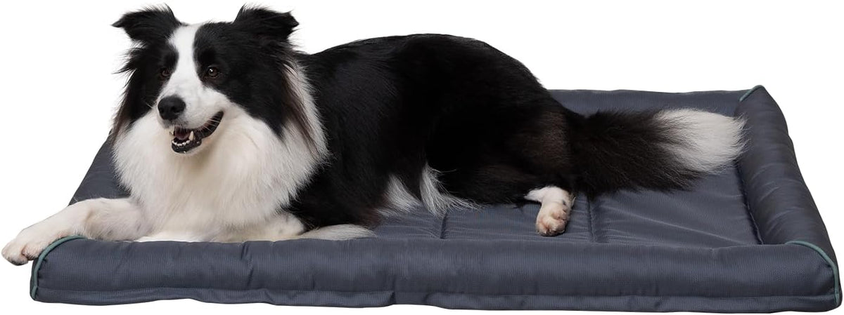 BALANCE Oxford Dog Bed for Large Dogs - 36.0"L x 23.0"W x 3.0"Th