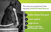 SynChill Oral Horse Calming Gel, 100% Natural & Nutritional Supplement, Lab Proven Results, Designed for Peak Focus & Performance, Approved by Veterinarians, FEI Compliant & Made in USA - 12-Pack