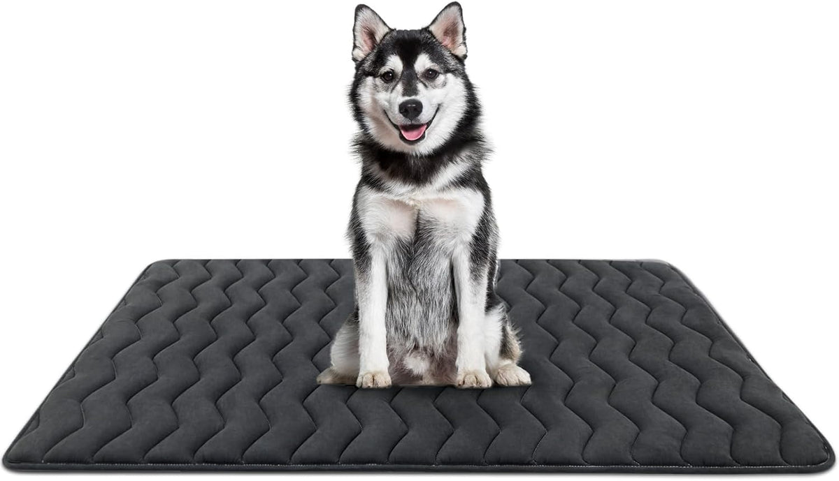 Bubble bear Dog Crate Mat, Ultra Soft - Upgraded Thick Black / 48.0"L x 30.0"W