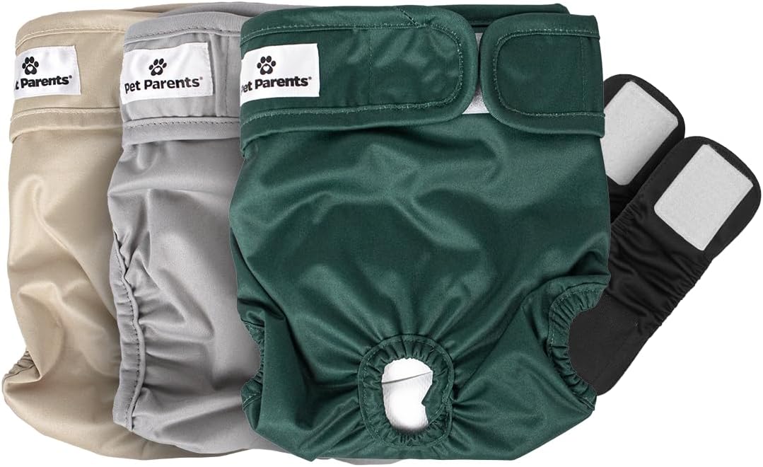 Pet Parents Washable Dog Diapers + Extendrs of Durable Doggie Diapers - Spruce / Medium (14-20")