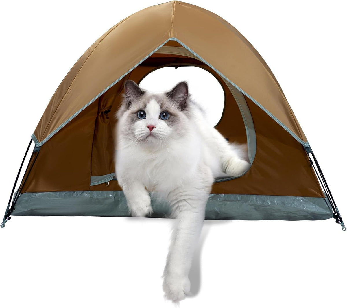 ASFANES Foldable Pet Tent for Medium Dogs & Cats - Brown / M