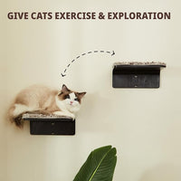 2 Set Cat Wall Steps - Wooden Cat Climbing Shelf for Wall - Cats Wall Stairs with Scratching Mat - Wall Mounted Cats Furniture for Jumping, Playing, and Lounging, Walnut
