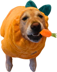 DERPYCHAPPY Dog Bathrobe for Small to Large Dogs, Microfiber – Essentials for Dogs - Mango / M