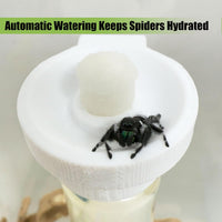 Jumping Spider Water Dispenser, Magnetic Hanging Feeder - White / 10ML - image 2