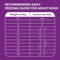 IAMS Advanced Health Skin & Coat Adult Dry Dog Food Chicken and Salmon Recipe, 6 lb. Bag