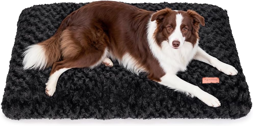 Dog Bed Crate Pad for Small Dogs 24"x18" Coffee – Essentials for Dogs - Large 36"x24" / Rosette Pattern Black