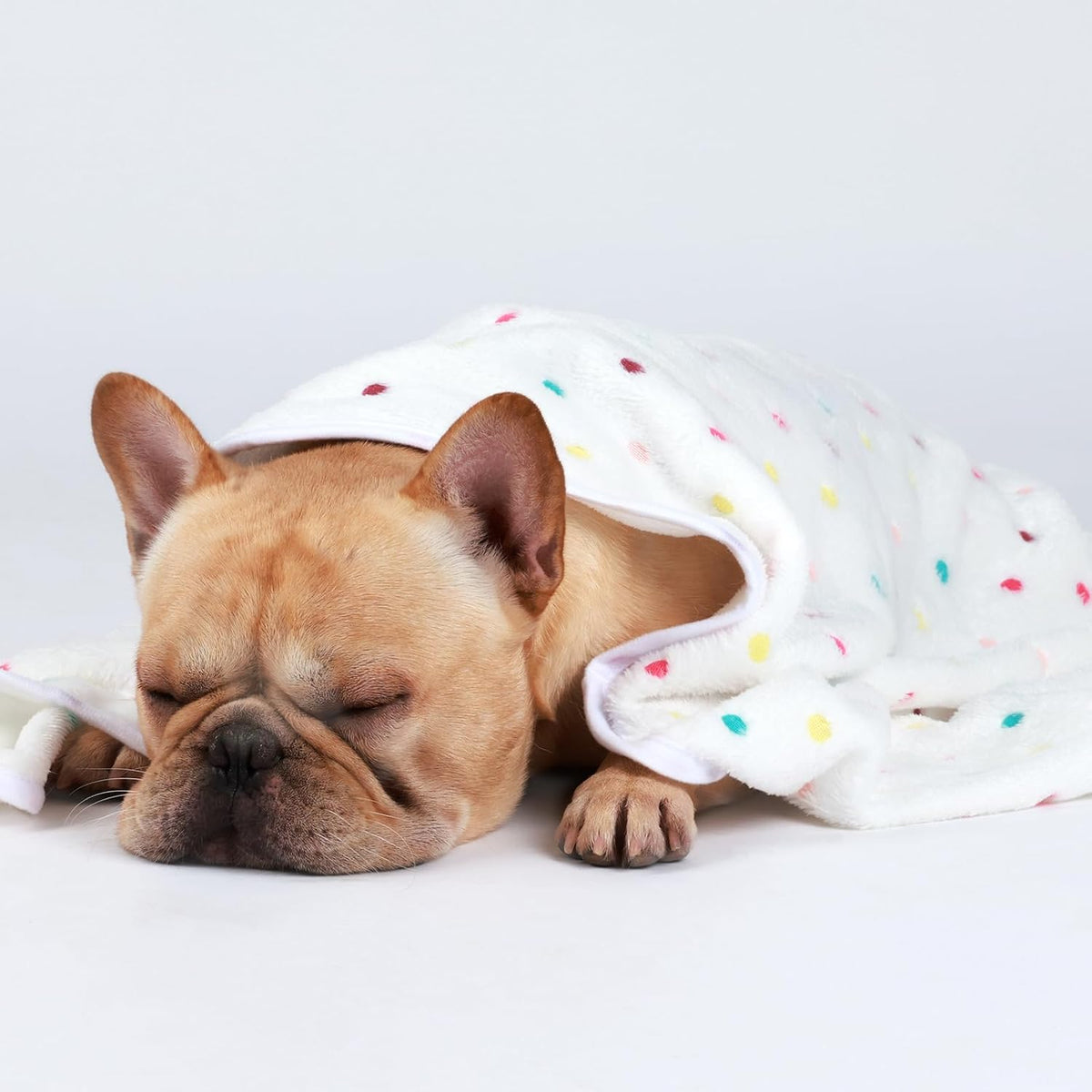 1 Pack 3 Blankets Super Soft Cute Dot Pattern Pet Blanket Flannel - Brown2 / 30x20 inch (Pack of 3) - image 2