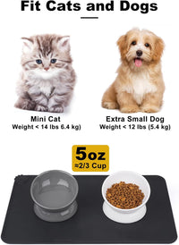 Elevated Cat Food Bowl, 5 Oz Ceramic Raised and Tilted Water Bowl, Anti Vomiting and Protect Pets' - White & Grey / 5 OZ - 1 Pack - image 2