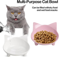 Wide shallow non-slip cat food and water bowls in BPA-free melamine with a glossy porcelain-like fin - view 4