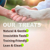 Afreschi Natural Turkey Treats Star Bites –16 oz, Hexagonal Shape, USA-Sourced Trukey, All-Natural, Hypoallergenic, Low-Fat, Healthy & Easily Digestible, Puppy & Training Snack & Small Dogs