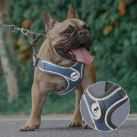 Dog Harness with Leash Set, No Pull Adjustable Step in Pet Vest – Essentials for Dogs - Red / L - image 3