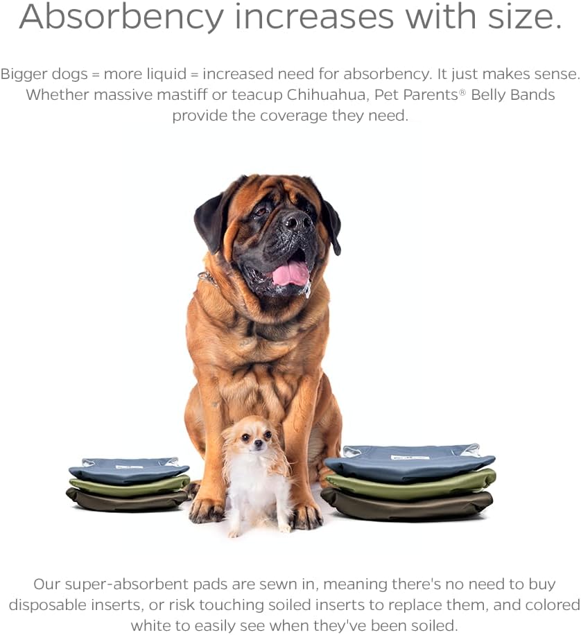 Pet Parents Washable Belly Bands for Male Dogs + Extendrs of Durable - Medium (16-20") / Koda - image 4