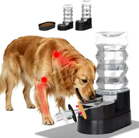 RIZZARI 8L Elevated Dog Water Dispenser: Gravity Waterer for Large - Black / 8L